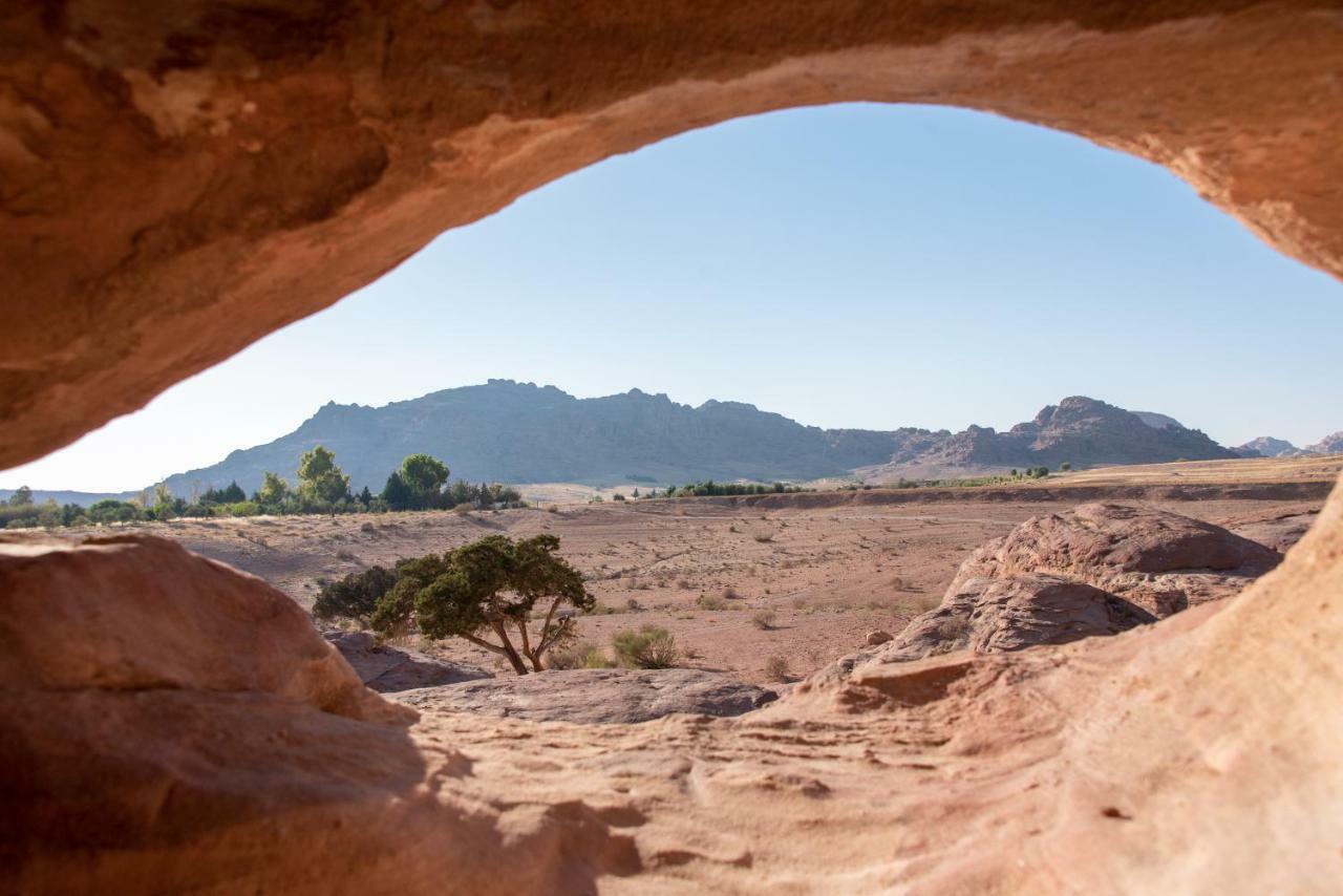 Bedouin Pink Ecohouse Bed and Breakfast Ουάντι Μούσα Εξωτερικό φωτογραφία