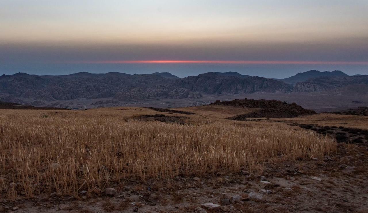 Bedouin Pink Ecohouse Bed and Breakfast Ουάντι Μούσα Εξωτερικό φωτογραφία