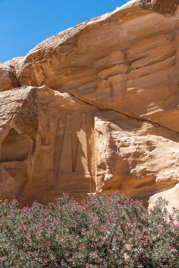Bedouin Pink Ecohouse Bed and Breakfast Ουάντι Μούσα Εξωτερικό φωτογραφία